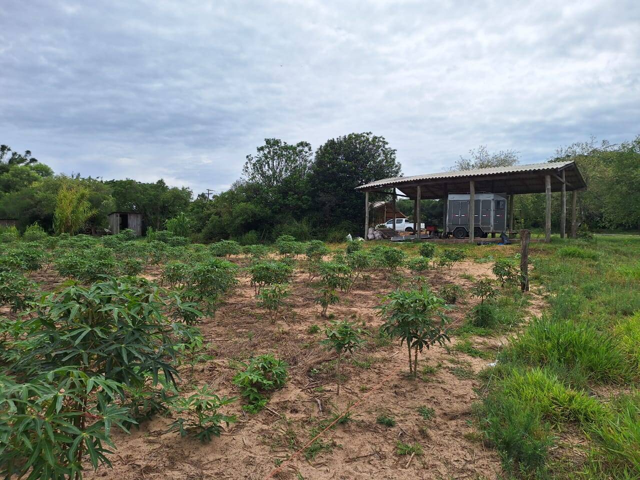 Fazenda à venda com 2 quartos, 271m² - Foto 36