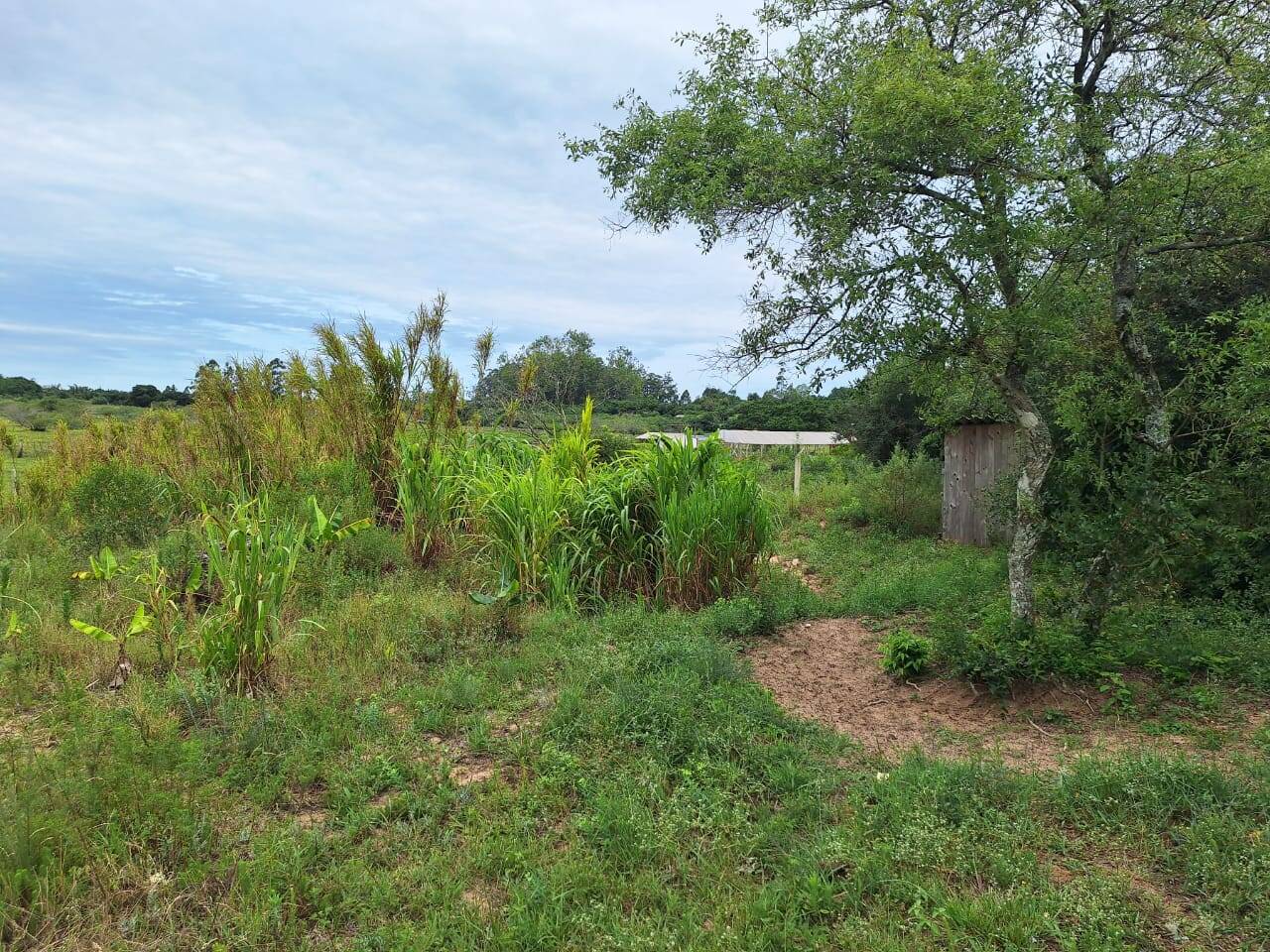 Fazenda à venda com 2 quartos, 271m² - Foto 39