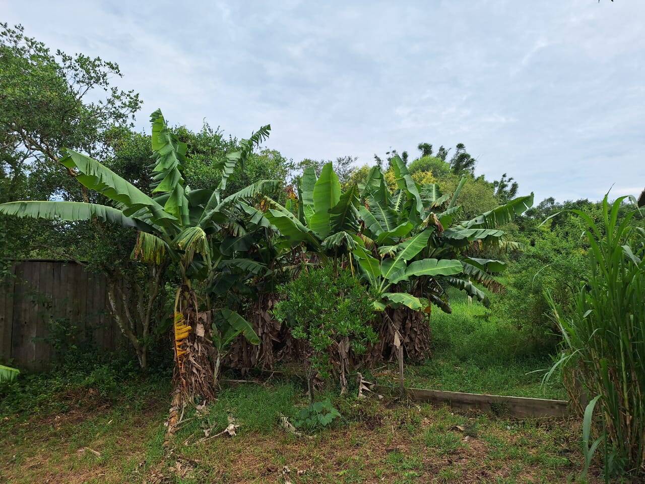 Fazenda à venda com 2 quartos, 271m² - Foto 44