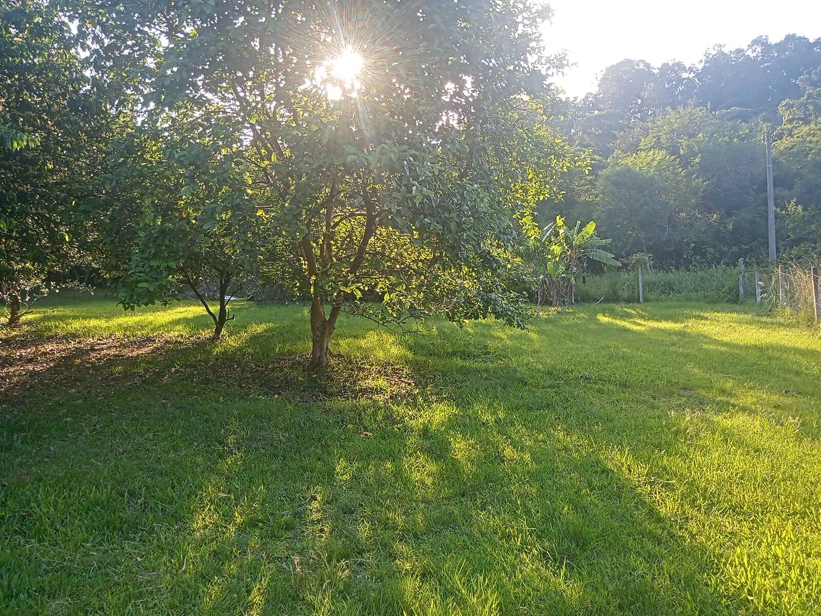 Fazenda à venda com 2 quartos, 85m² - Foto 18