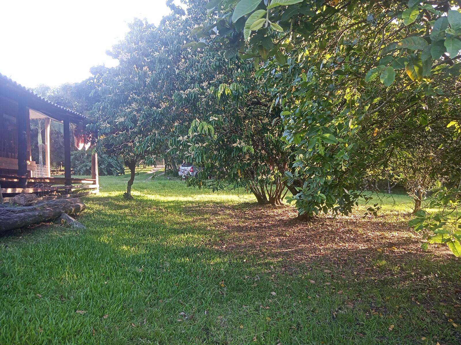 Fazenda à venda com 2 quartos, 85m² - Foto 5