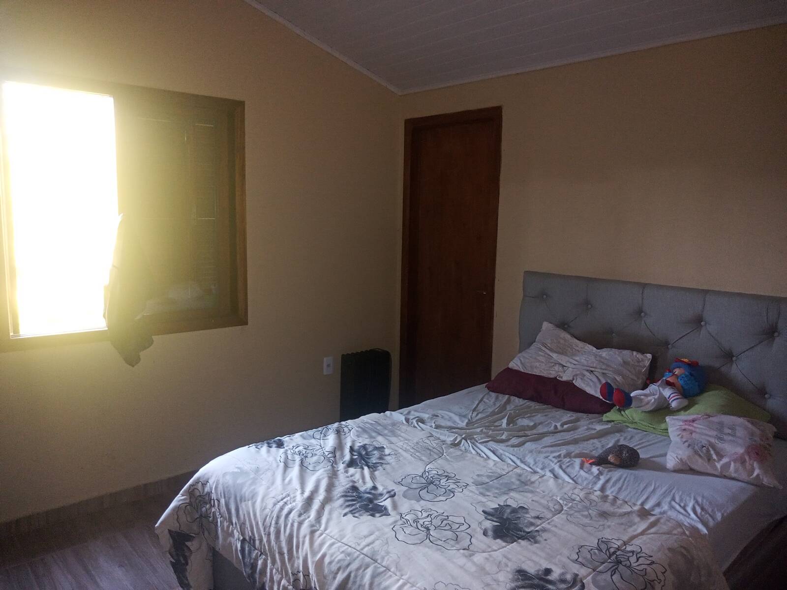 Fazenda à venda com 2 quartos, 85m² - Foto 14