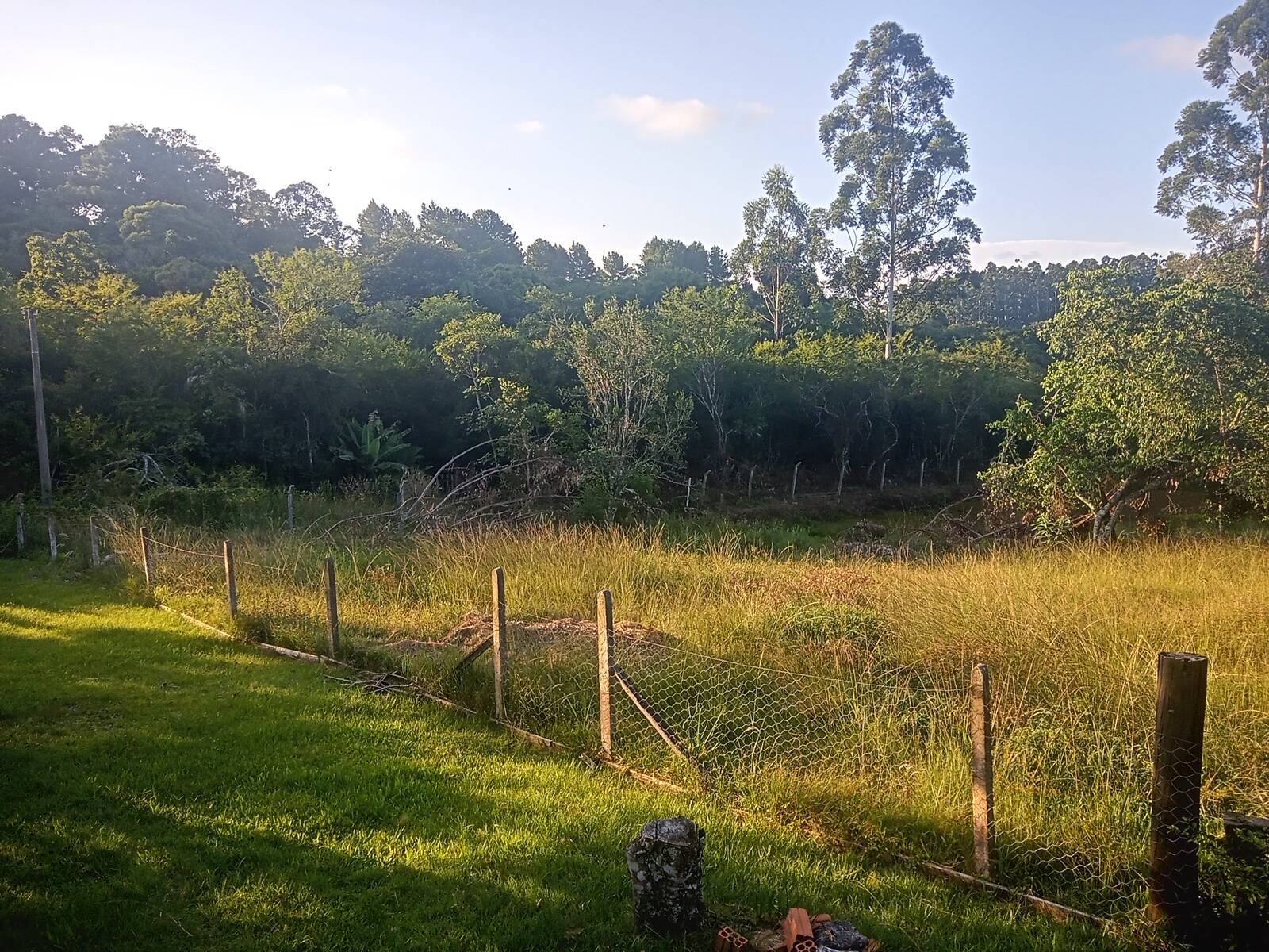 Fazenda à venda com 2 quartos, 85m² - Foto 28