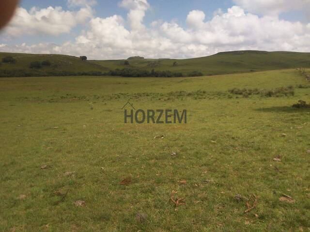 #SFP001 - Fazenda para Venda em São Francisco de Paula - RS - 3